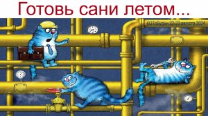 КОТоБудни в деревне: Плюсы и Минусы