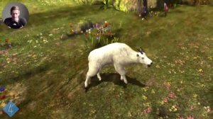 Обзор Deer Hunter 2014 (iOS, Android)