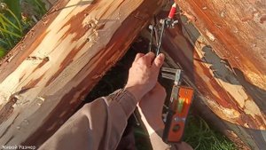 Как причертить лапу-чашу