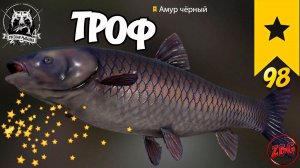 АМУР ЧЕРНЫЙ ТРОФ  о. МЕДВЕЖЬЕ ⭐ РУССКАЯ РЫБАЛКА 4 |  RUSSIAN FISHING 4@Z-B-G