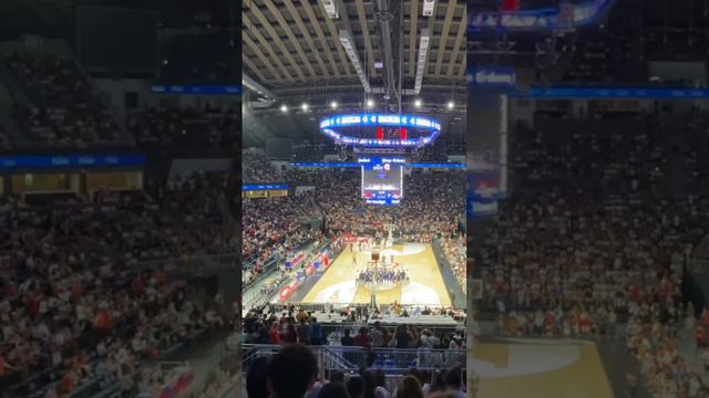 Türkiye vs Sırbistan basketbol dünya kupası Cedi Osman Alperen Şengün Furkan Korkmaz Shane Larkin