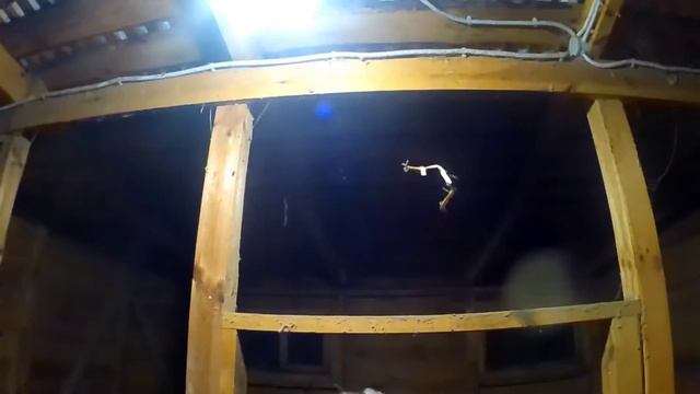 В коровнике БАРДАК ,надо знать своё место! смотреть онлайн