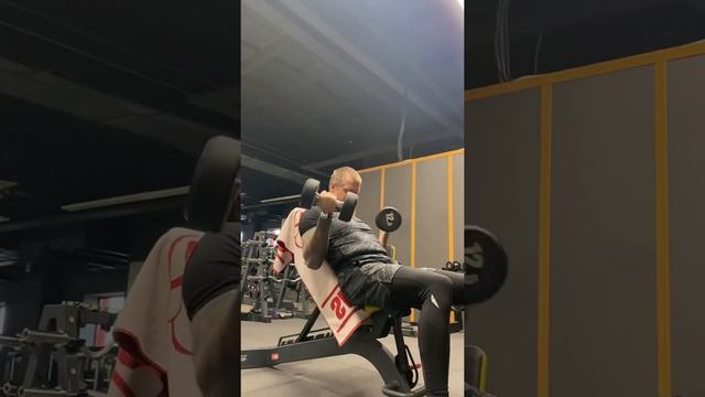 Подъем гантелей на бицепс сидя, ладони развернуты вперед смотреть онлайн