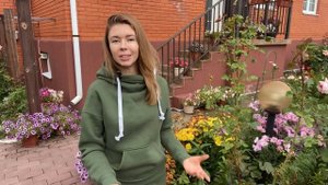 Почему не удается СОХРАНИТЬ ХРИЗАНТЕМУ после зимы. Что важно знать ПРИ ПОКУПКЕ ХРИЗАНТЕМЫ