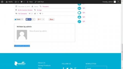 WordPress. How To Enable/Disable Comments