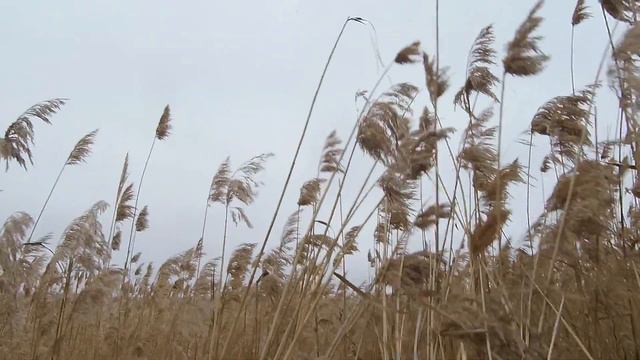 24 крайний выход - охота пуще неволи смотреть онлайн