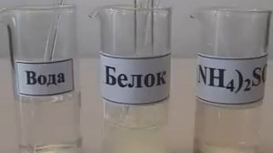 Ренатурация белка