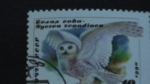 Postage stamp. USSR. Snowy owl. Nyctea scandiaca. 1990. Price 10 cents.