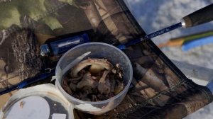 Зимняя рыбалка, Владивосток. Вокруг не ловят, а я ловлю! Океанская 23.12.2023. Ловится навага.