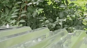 #песни80х Песня "ПОЛГОДА ПЛОХАЯ ПОГОДА".