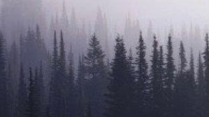 Чередой за вагоном вагон