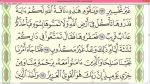 Шейх Айман Сувейд сура Худ стр 229