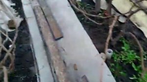 Как уберечь виноград от заморозков весной.