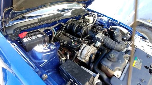 mustang 2005 смотреть онлайн