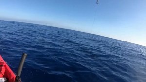 Crazy Once in a Lifetime 160 Pound Marlin in a Kayak. Hawaii