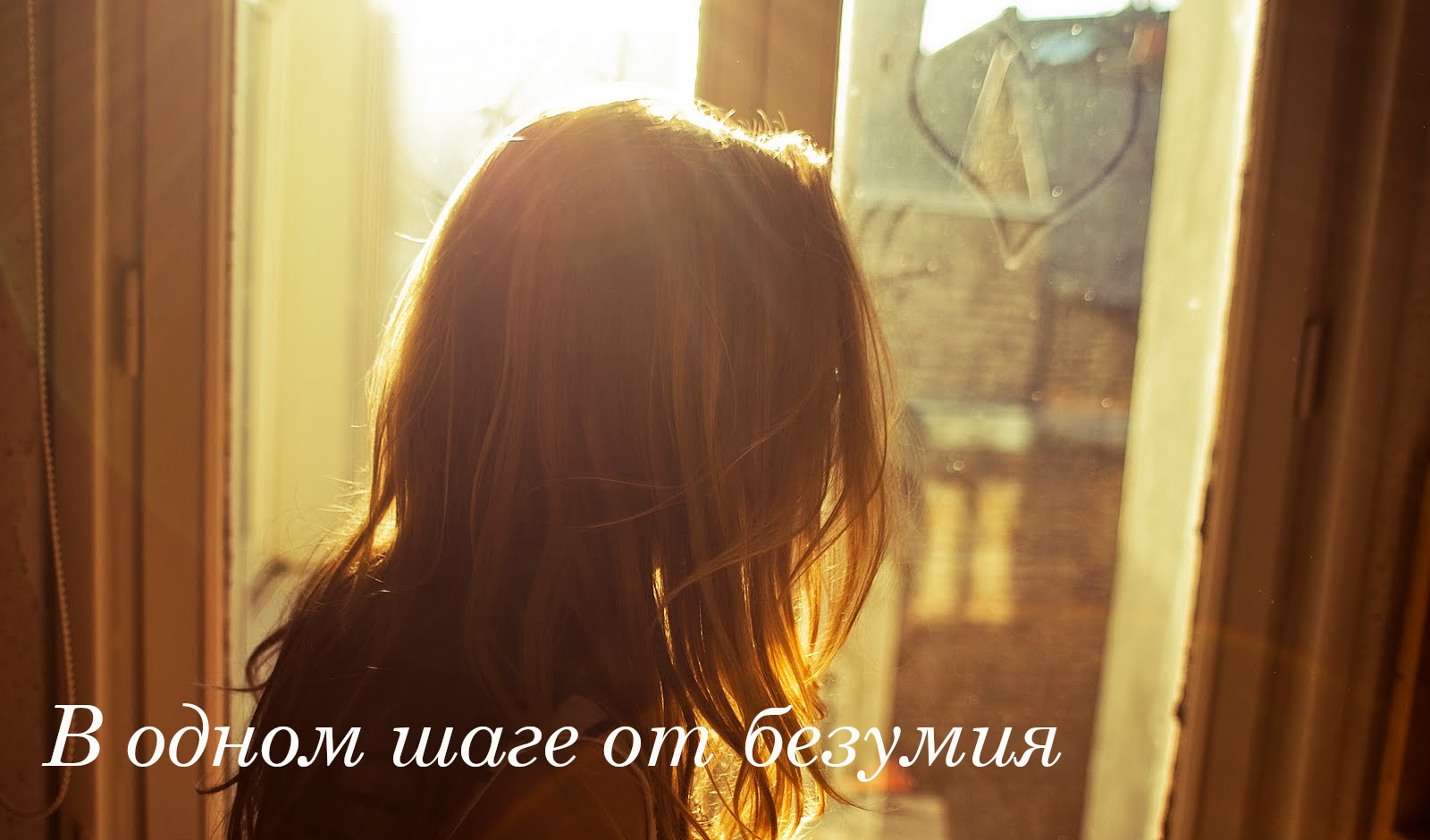 В одном шаге от безумия. Стихотворение. Автор Иммари