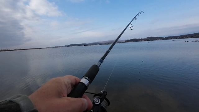 5.11.23.Волчанец .Ловля Дальневосточного угая (краснопёрка) на морского червя. смотреть онлайн