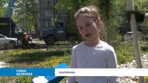 Семейных деревьев в Хабаровске становится больше