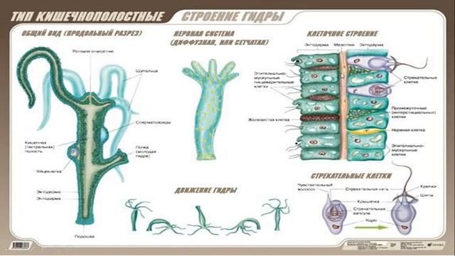 Урок №3 