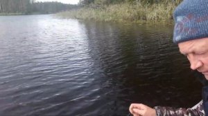 Щука сошла с ума! ЖОР! Озеро Тоньки. Рыбалка. Сентябрь.