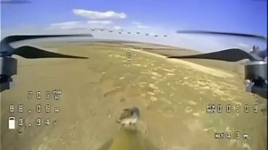 Мышь-камикадзе на FPV дроне влетела в опорник неприятеля