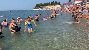 ШОК от МОРЯ в ДИВНОМОРСКЕ! 5.08.2021!