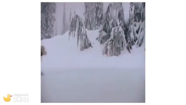 Снежная Пятерка смотреть онлайн