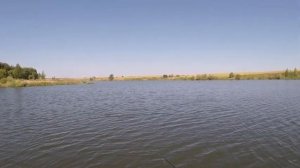 Рыбалка на спиннинг в Липецкой области.