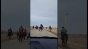 Расул Сеитов - Балта-Аул. Ногайский Район, Карачаево-еркессия. Сбор Ногайцев январь 2019