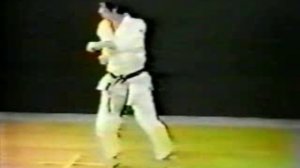 ката Шотокан каратэ-до - Текки Шодан