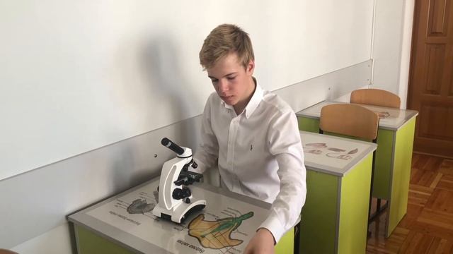 Инфузория под микроскопом смотреть онлайн