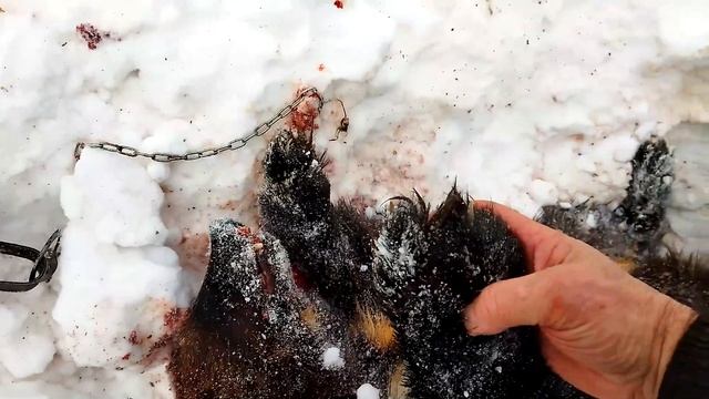 Вонючка 10 февраля 2022 смотреть онлайн