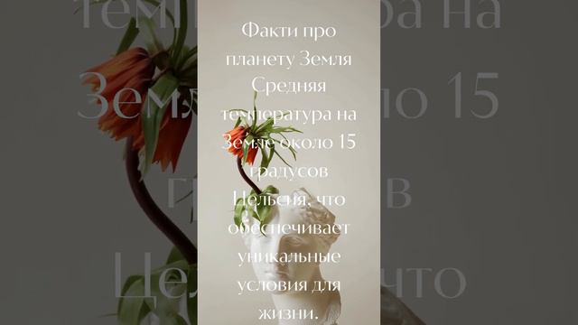 Факти про планету Земля№1