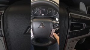 PMS code reset. Mitsubishi Montero / Pajero Sport