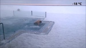 Бухта Коприно 01.03.2018