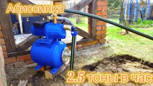 Как избавиться от железа в воде. Абиссинка под ключ