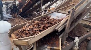 Продажа коры, сосна всех фракций, лиственница, щепа #кора #щепа #производство #продажа #мытищи