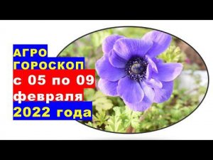 Агрогороскоп с 05 по 09 февраля 2022 года