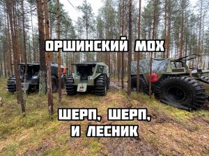 Три вездехода едут на озеро Великое