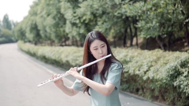 Frederic Chopin - Nocturne Op.9, No.2 Flute смотреть онлайн