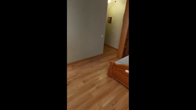 1-комнатная квартира на сутки в Гомеле возле вокзала ул. Ветковская, 2 смотреть онлайн