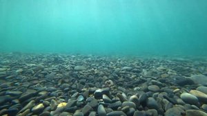 Отдых в Сукко. Море, пляж, цены уходящего сезона. (Папа Может)