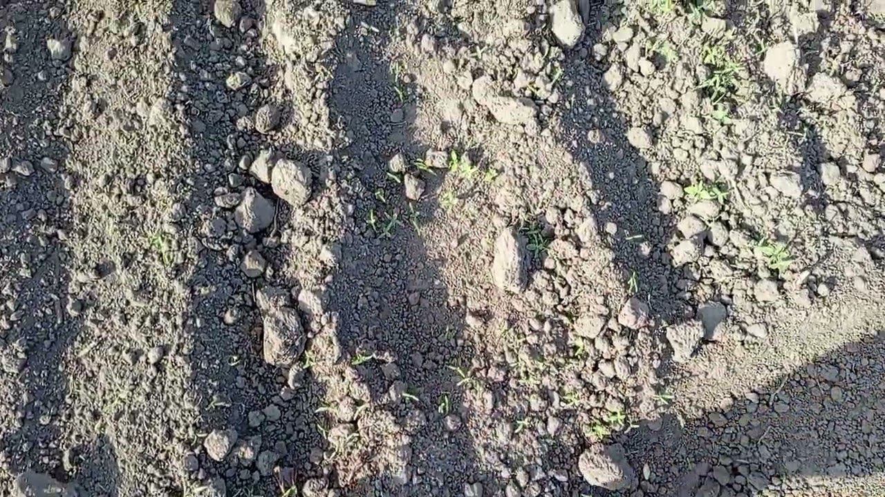 Самодельная ротационная борона.