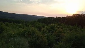 хутор Новокрымский