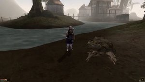 Morrowind любое разрешение экрана, туман, видимость, формат