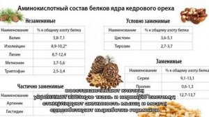 Польза кедровых орехов для здоровья — чем ценны вкусные семена