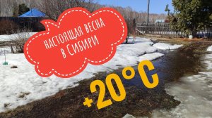 Настоящая весна в Сибири #весна #веснавсибири #надачевесной