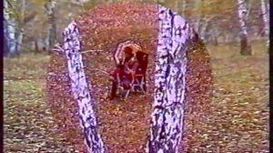 Людмила Туманова - Песенка об одиноком дожде