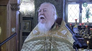 Протоиерей Димитрий Смирнов. Проповедь о прославлении святых мучеников