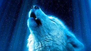 Джо Диспенза — Благодарность без повода